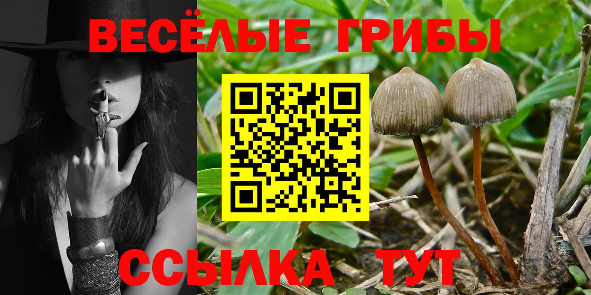 как найти закладки  Вход с VPN  Нижнекамск  Галлюциногенные грибы GOLDEN TEACHER  Галлюциногенные грибы прущие грибы 